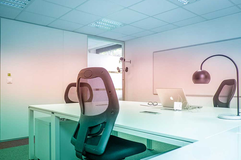 Private Office Flex Desk